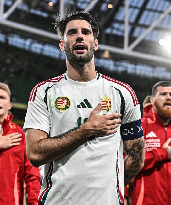 捷克主场-不敌阿尔巴尼亚,积分落后的简单介绍 捷克主场-不敌阿尔巴尼亚,积分落后的简单介绍